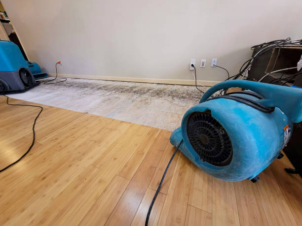Professional Structural Drying technician working in Harrington, WA